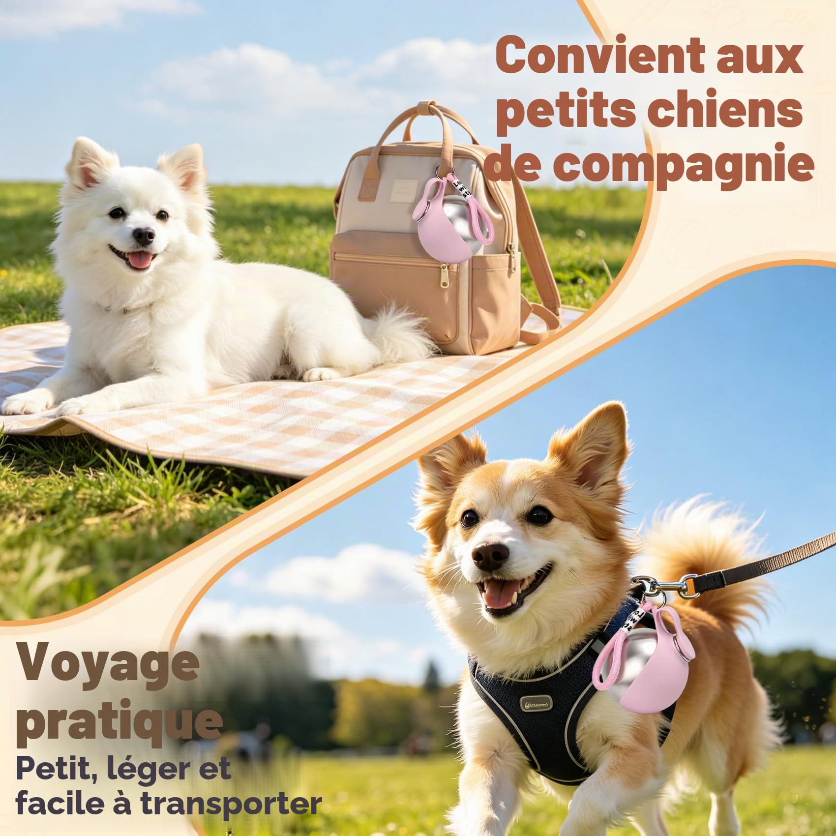 Gourde pour Chien Promenade, 285ml Bouteille Eau Chien en Acier Inoxydable, Gourde Anti-fuite avec Gamelle Pliable en Silicone, Bouteille d'eau Portable pour Chien pour Balades Voyages Camping