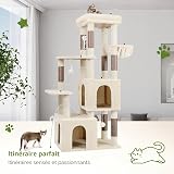 Globlazer Arbre a Chat Beige pour Gros Chat Maine Coon avec 2 Extra-large Niches 45*40*35cm, Grand Espace de Détente, 156 cm Stable Arbres à Chats pour Grand Chats plus de 8kg Intérieur (F61, Beige) - 6