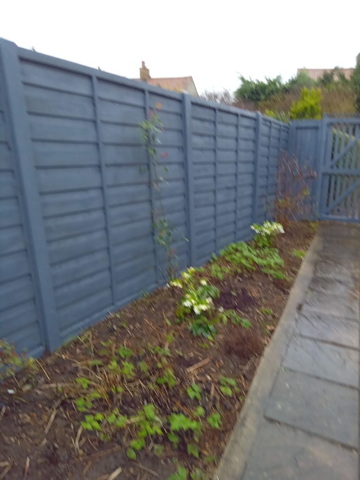 20LTR Fence Paint Grey Amazon.co.uk DIY & Tools