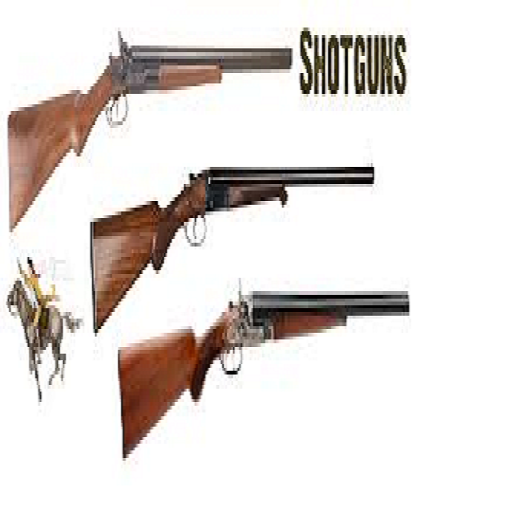 Our Best shotgun brands Top 10 Model Reveled! Maine Innkeepers