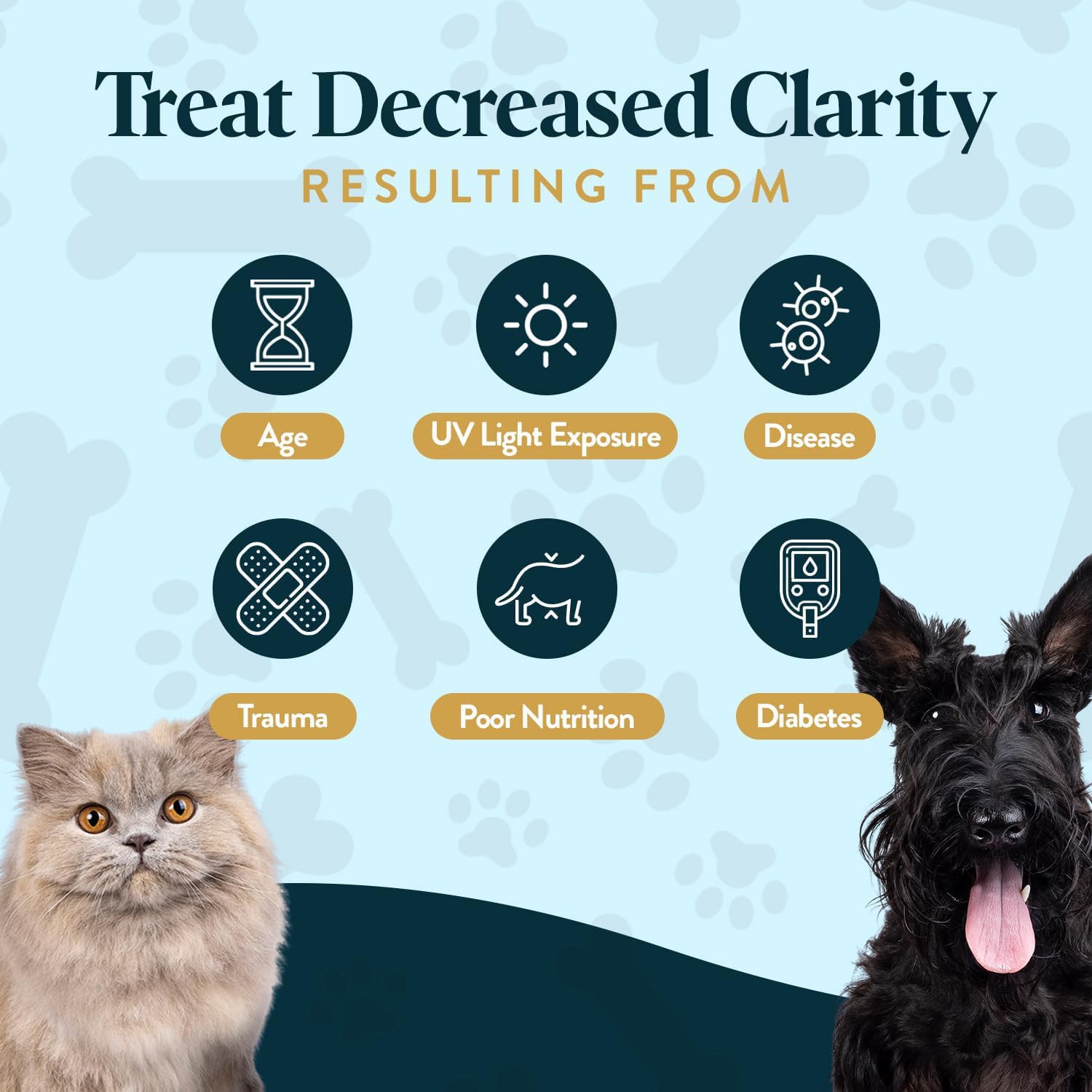 OcluVet Vision Chews Eye Supplements for Dogs & Cats, 60 Count — Amazon image 6