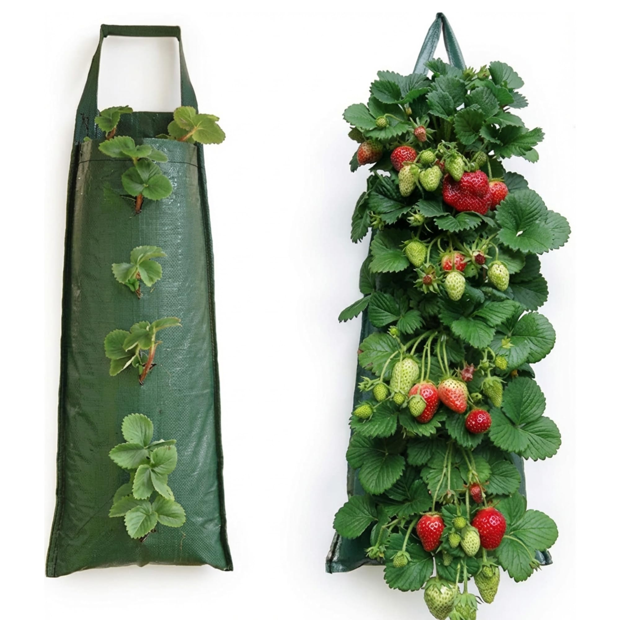 Nutley's Hanging Strawberry Flower Bag Planter Pouch grow fruit herbs flowers UV treated