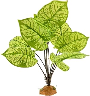 Mipcase Tanque De Lagarto Plantas Falsas Internas Plantas Falsas Plantas De Aquário Decorativas Internas Planta De Paisagem Planta De Répteis Para Terrário Escalada Ornamentos Para