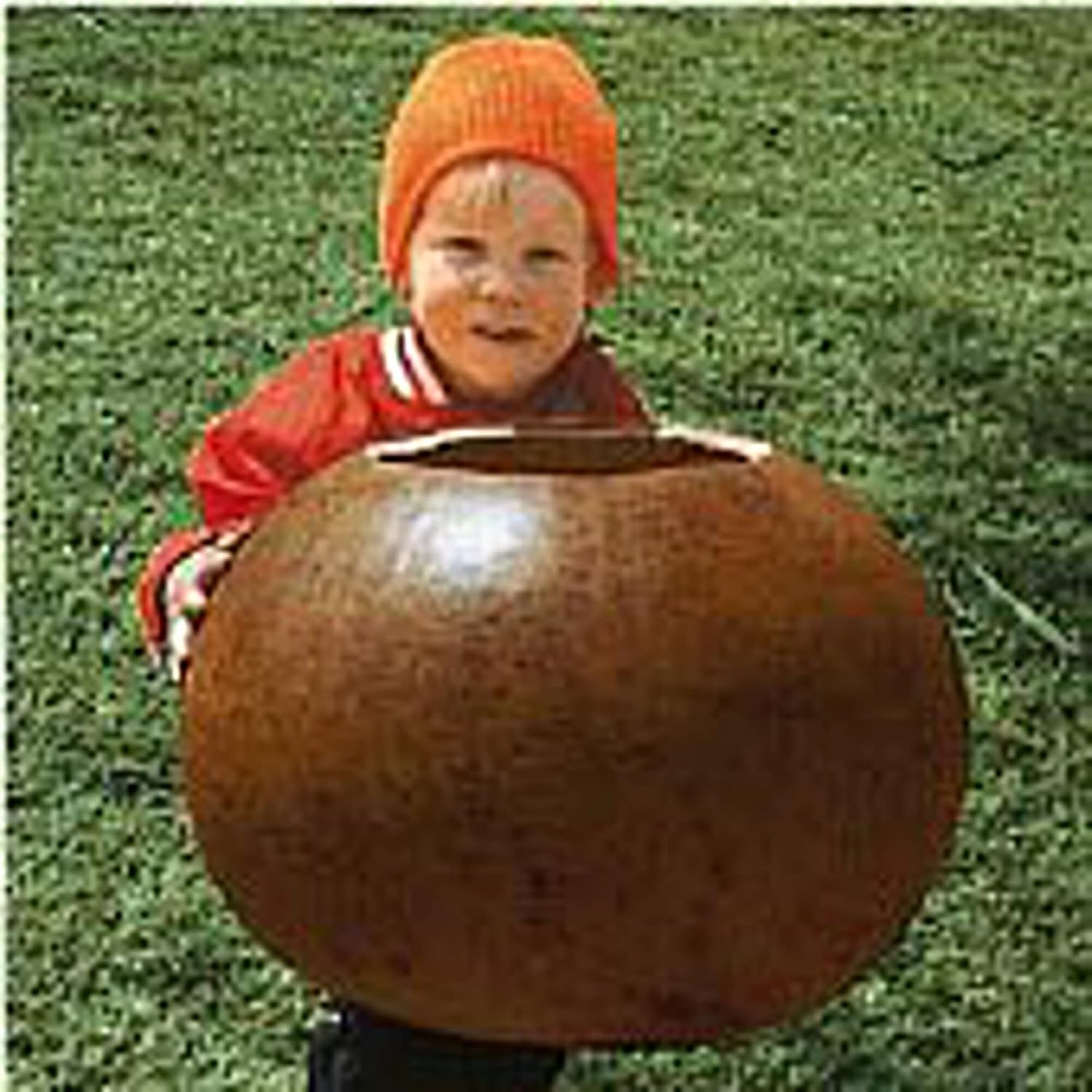 Bushel Gourds Seeds (20+ Seeds) Non GMO Vegetable