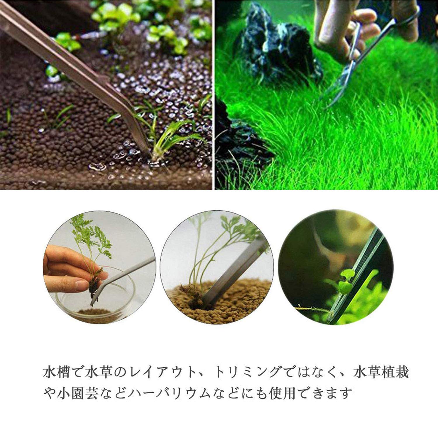Amazon.co.jp: ZHHMl Aquatic Plant Trimming Set of 9 Scissors