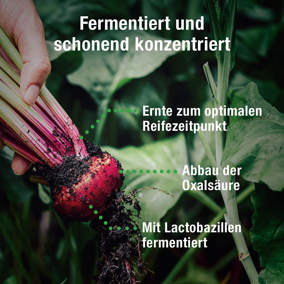 100% Bio Rote Beete Extrakt - hochkonzentriert, 10ml täglich - 5,3 kg Rübe in 500ml - Rote Beete Saft mit 46x weniger Oxalsäure als in frischer Beetroot (500 ml)