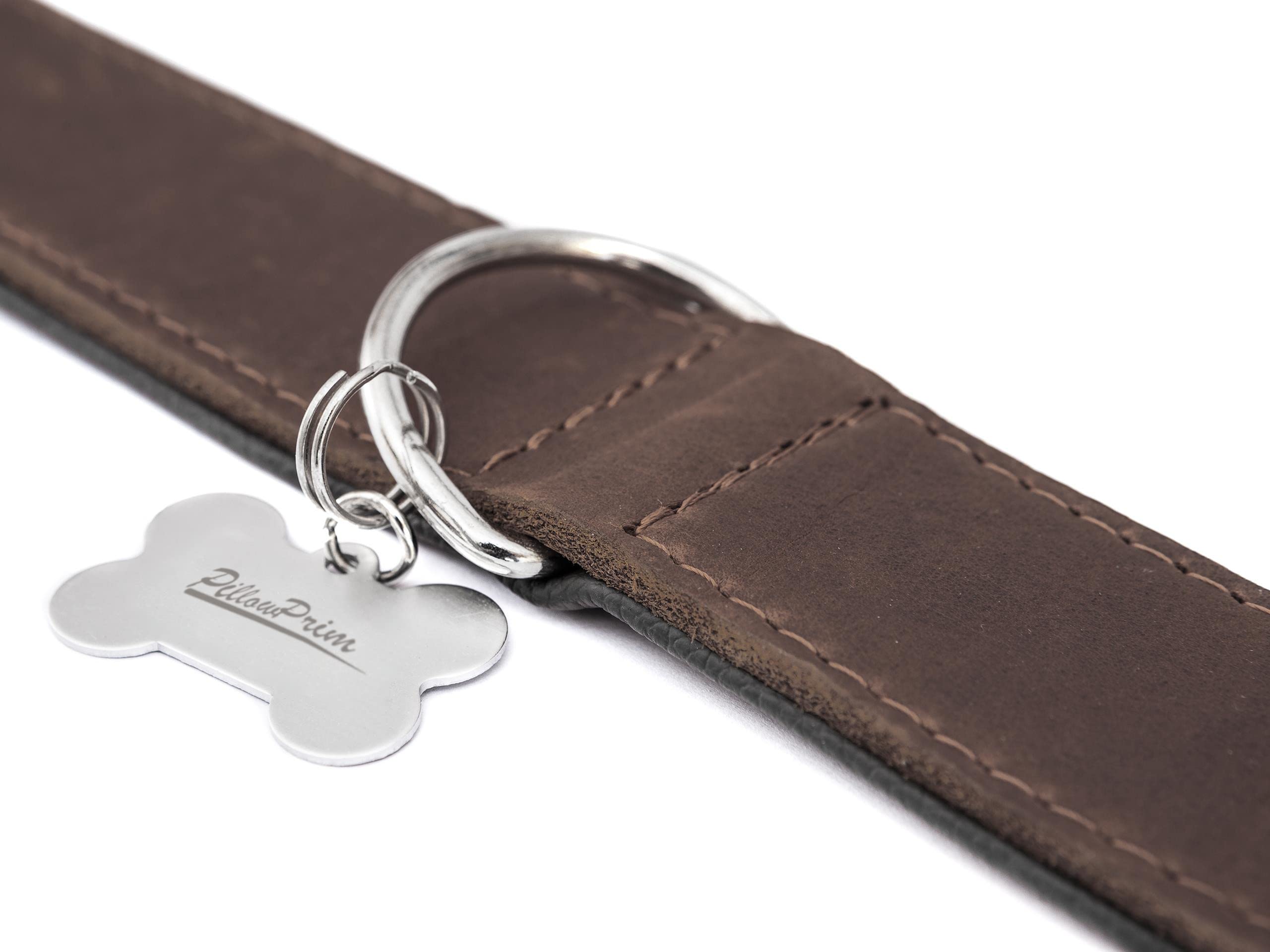 Collier pour chien en cuir avec boucle en métal Marron 65 x 4 cm