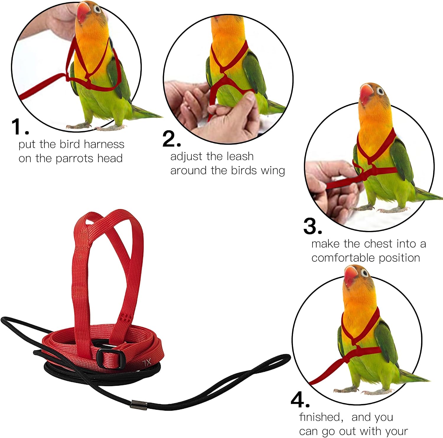 2 pcs Pet Parrot Bird Harness and Leash, Adjustable Training Design Anti-Bite, Outdoor Flying Training Rope Kit for Bird Parrots Fits Birds Chest Between46-76cm /18.11-29.92inch - XL (red) image 4