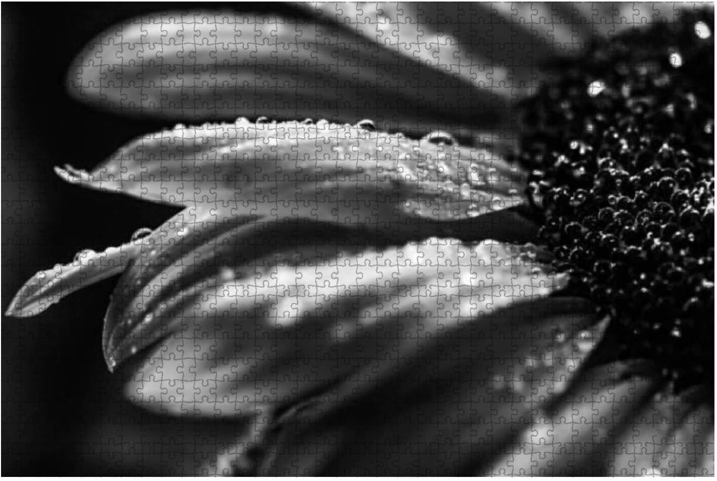 500 Piece Black and White Macro Sunflower Large Piece Jigsaw Puzzles for Adults Educational Toy for Kids Creative Games Entertainment Wooden Puzzles Home Decor - Image 1 of 7