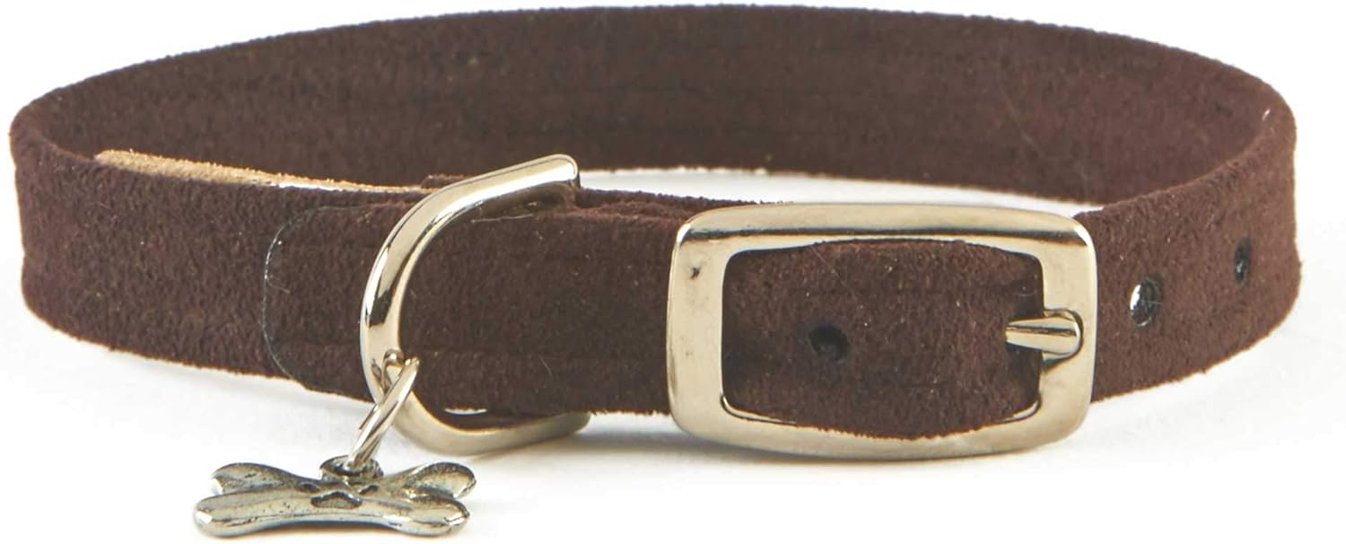 Susan Lanci Collar (XSmall, DOE)