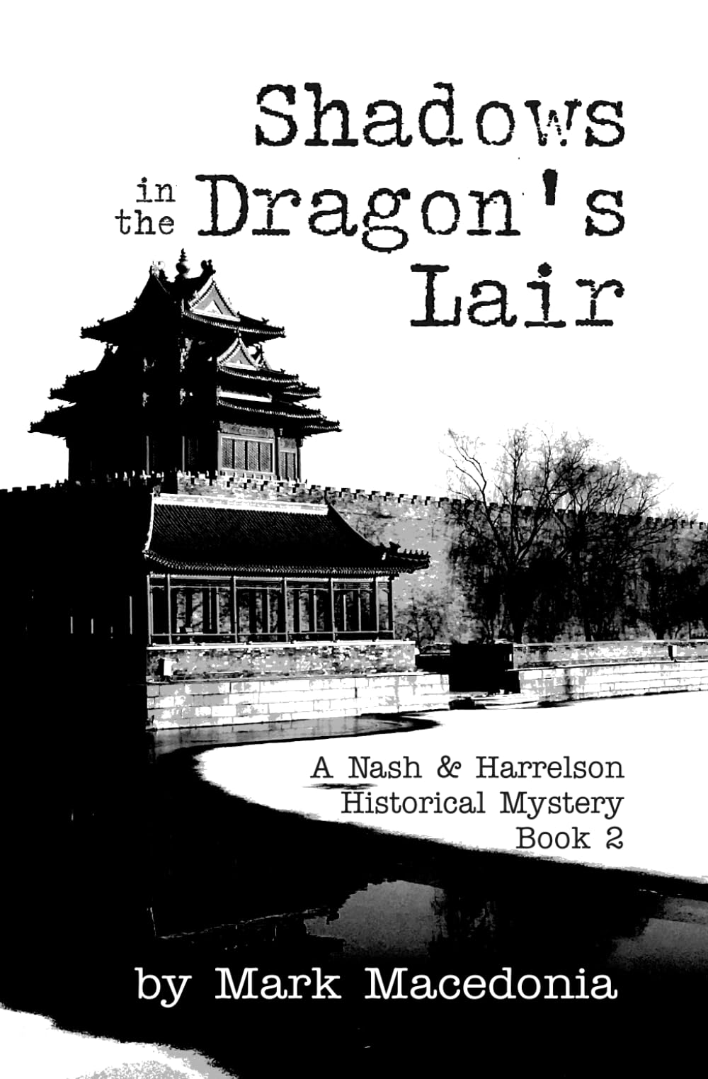 Shadows in the Dragon's Lair: A Nash & Harrelson Historical Mystery, Book 2