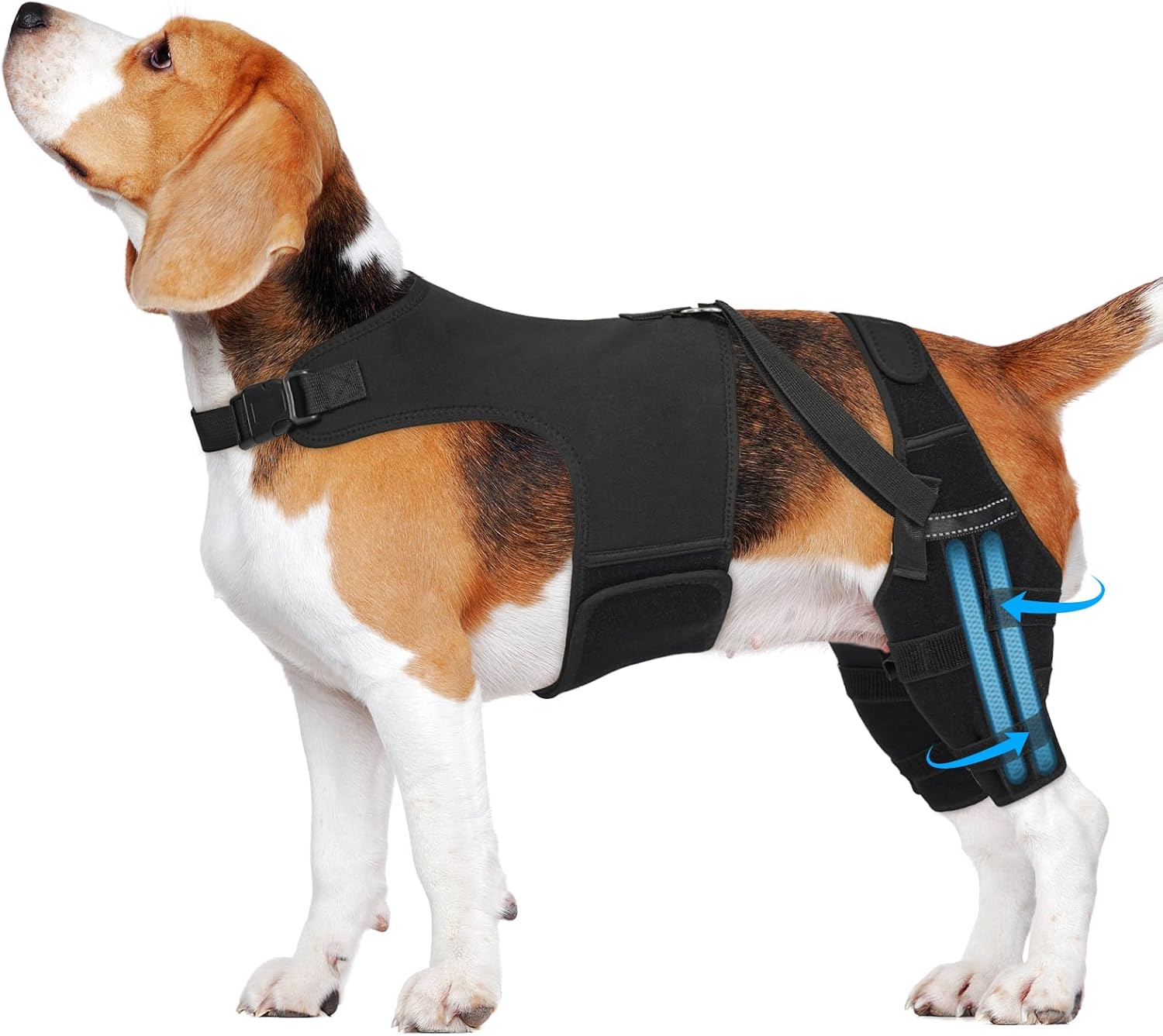 Dog Knee Brace for Back Leg, Adjustable Dog Leg Brace with 4 Stabilizers, Hip Support to Reduces Pain, Ligament Injuries & Luxating Patella & ACL CCL for Small Medium Large Dogs, M