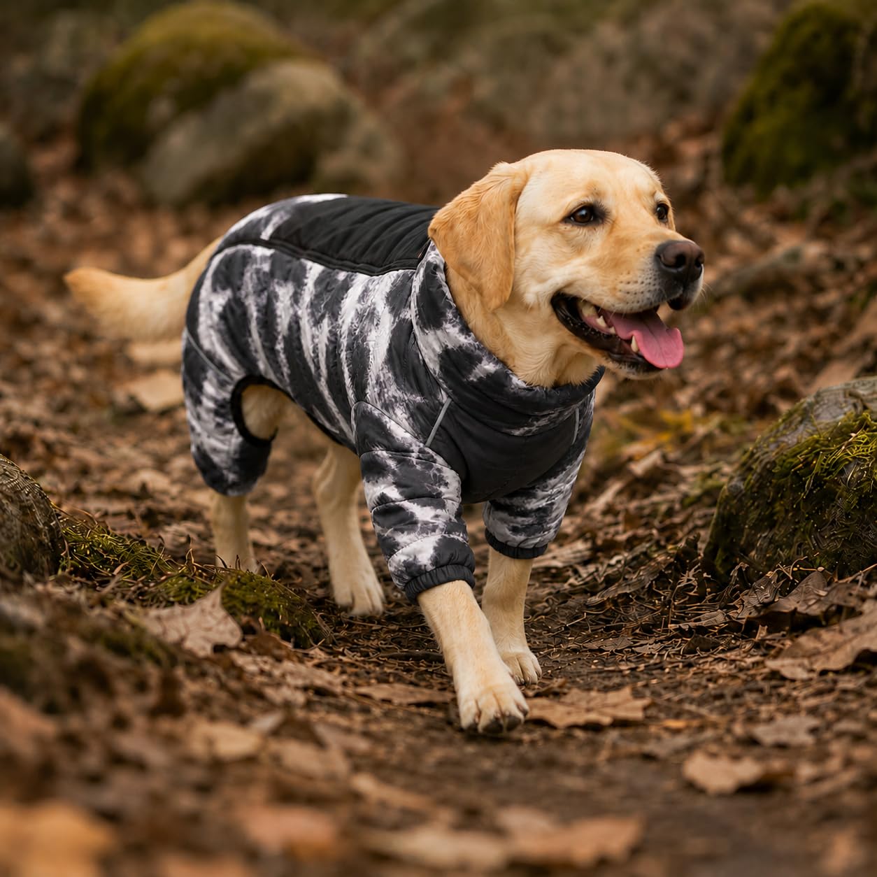 Manteau pour Chien, Veste Chaude à 4 Pattes Couverte, imperméable, Coupe-Vent, réfléchissante, avec Fermeture éclair réglable, pour Chiens de Petite, Moyenne et Grande Taille, micai, Noir, Taille M