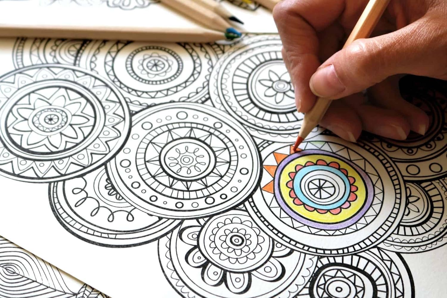 Idea Liftoff™ 12 Pack Adult Coloring Book Super Set - Bundle with 12 Adult Coloring Books for Women, Men Featuring Mandalas and More | Advanced Coloring Books Bulk