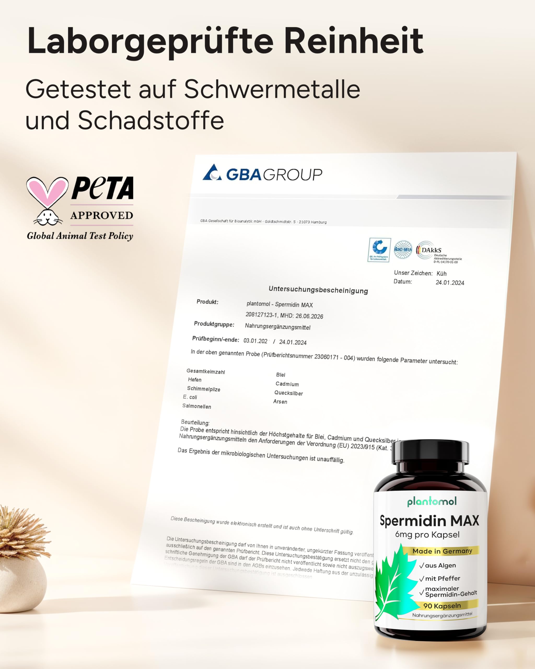 Spermidin Kapseln hochdosiert - Spermidin 6mg pro Kapsel - Spermidine Gehalt durch externes Labor bestätigt - SpermidinMAX - 3 Monatsvorrat