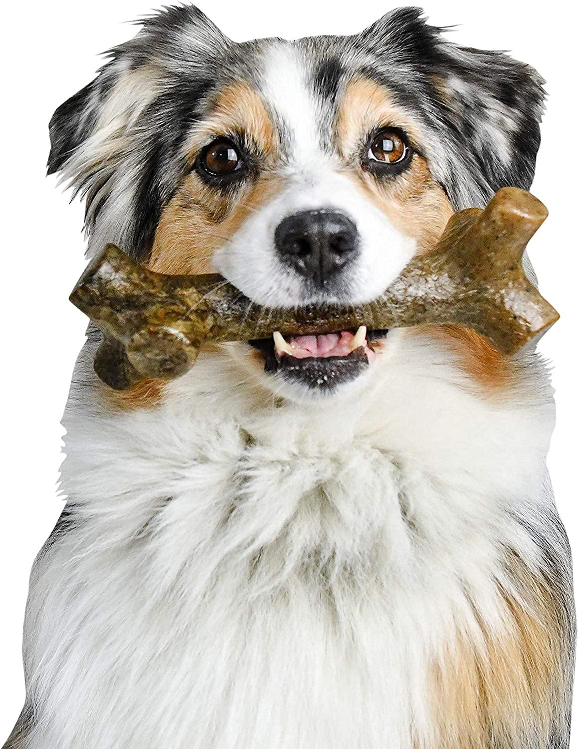 bark bones for dogs