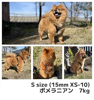 フリースラインドハーネス　ハイビスオレンジ　3号　柴犬　など フリースラインドハーネス ハイビスオレンジ 3号 柴犬 など