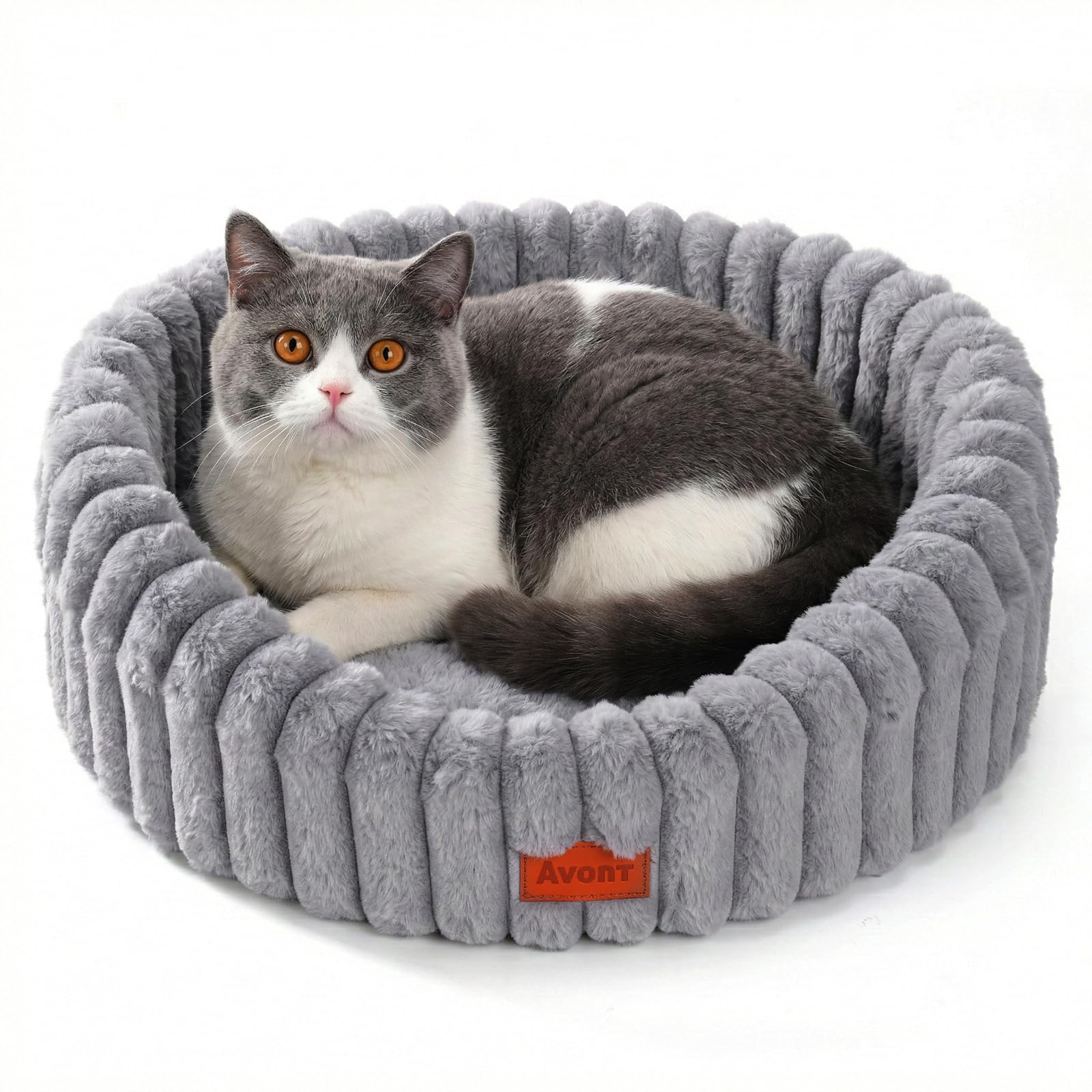 Avont Nido Morbido per Gatti - Cuccia Lavabile con Base Antiscivolo per Cuccioli e Cani Piccoli, Grigio Topo (M)