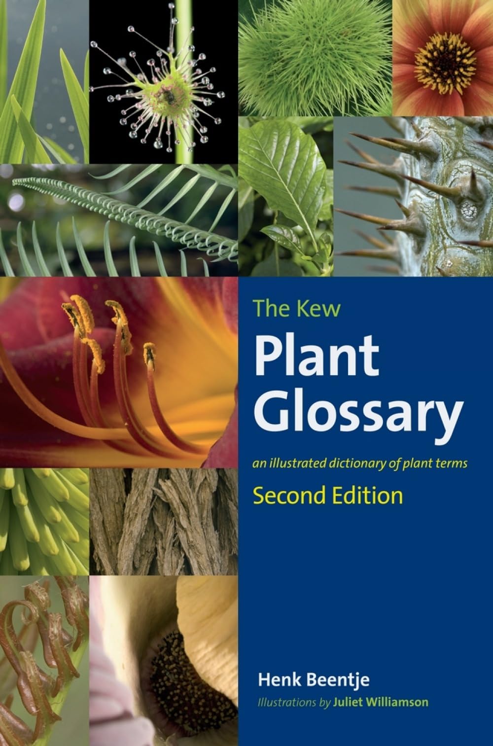 Kew Plant Glossary, The.by Beentje  New 9781842466049 Fast Free Shipping**