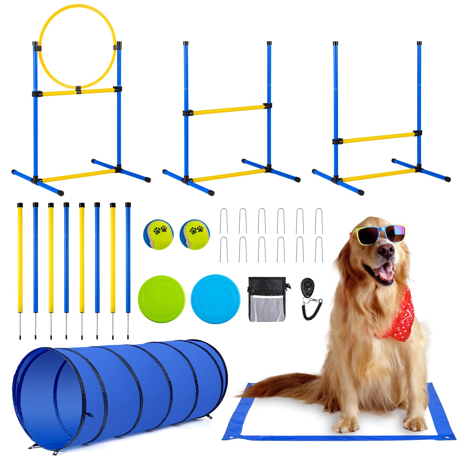 Agility Course Obedience Schools Near Me For Dogs Agility Dog