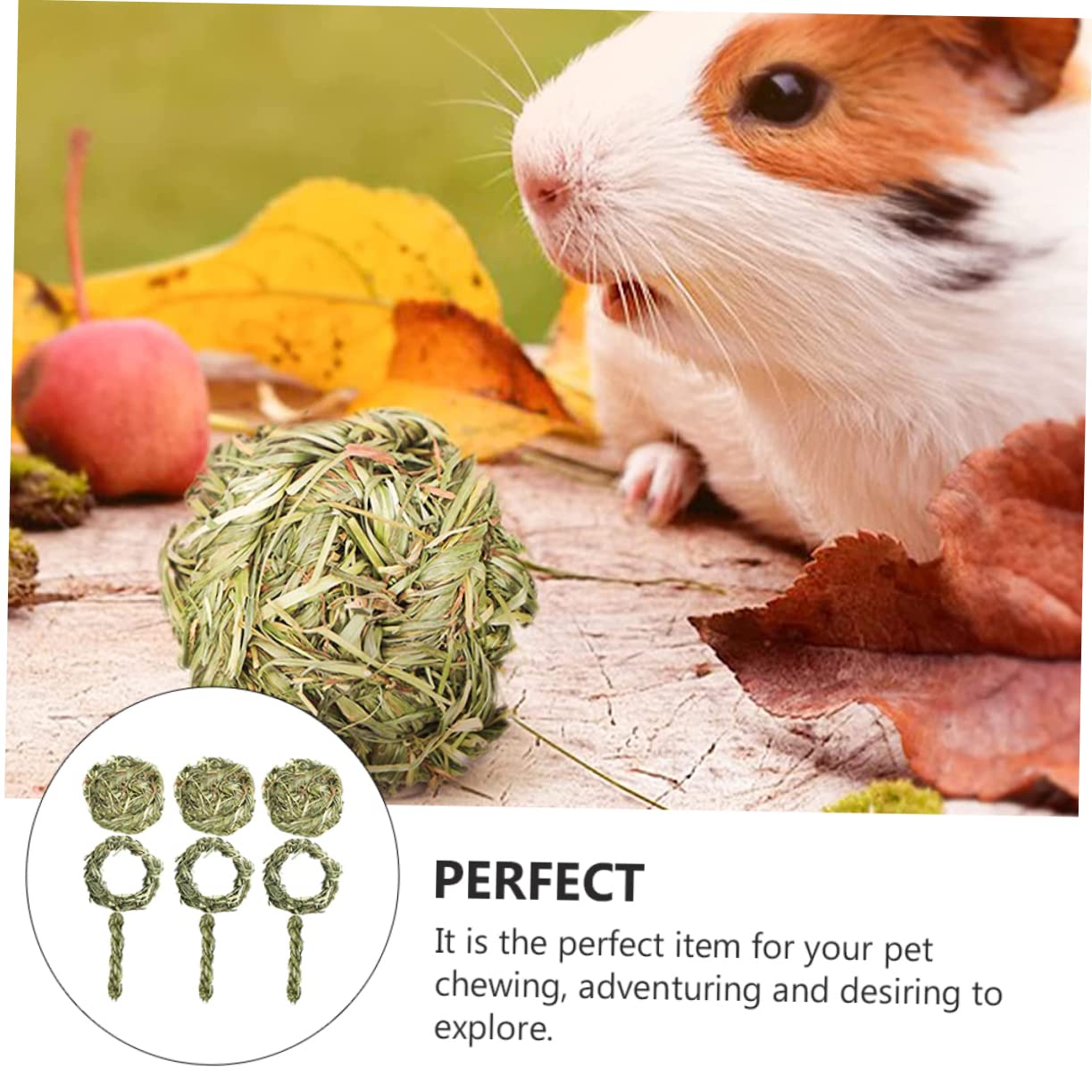 Beavorty 18pièces Jouets à Mâcher Graminées pour Rongeurs Accessoires De Molarité pour Chinchilla Et Complet De Snacks à