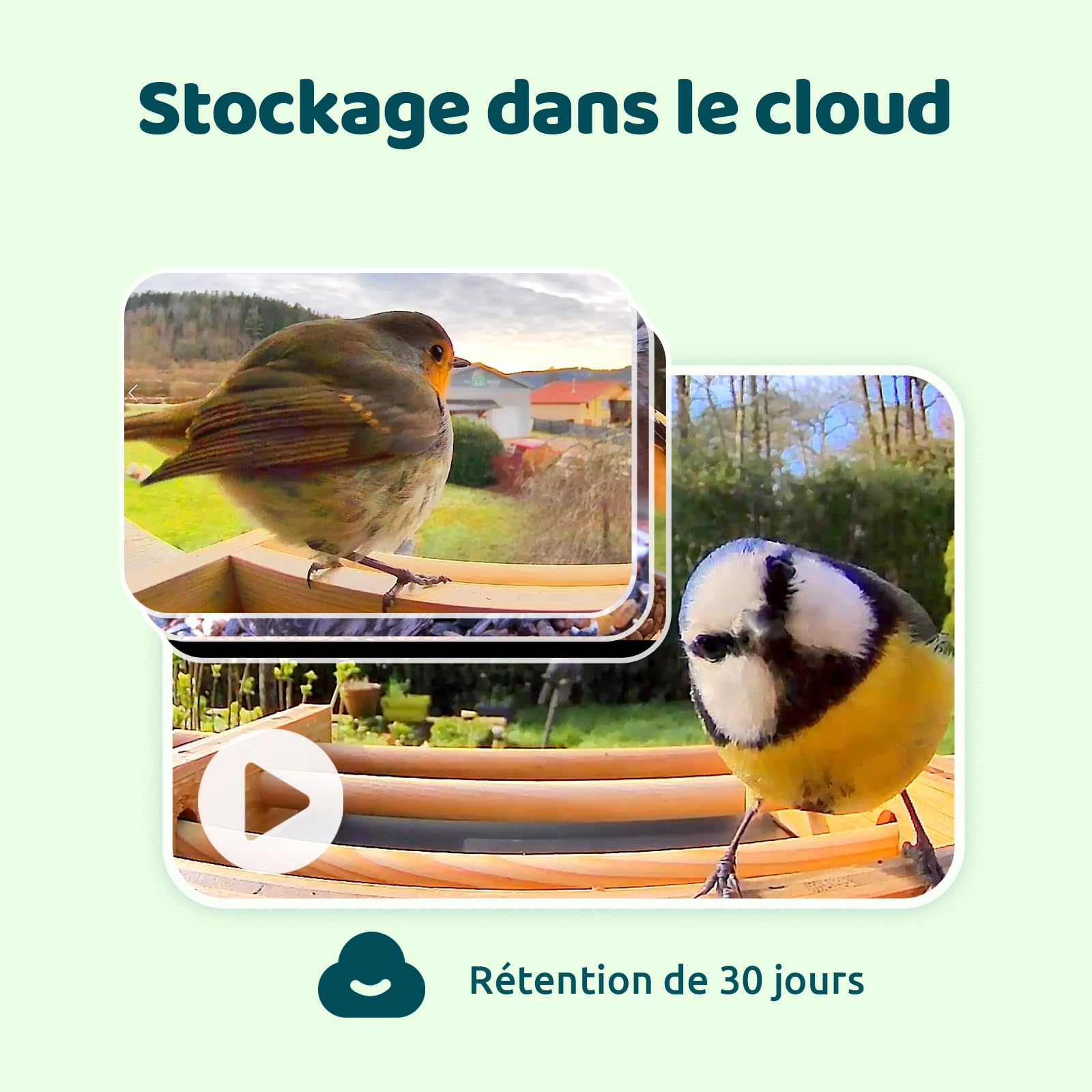 Netvue Birdfy Mangeoire Oiseaux Bambou Caméra Solaire Vision Nocturne Capture Auto Images Vidéos Notification