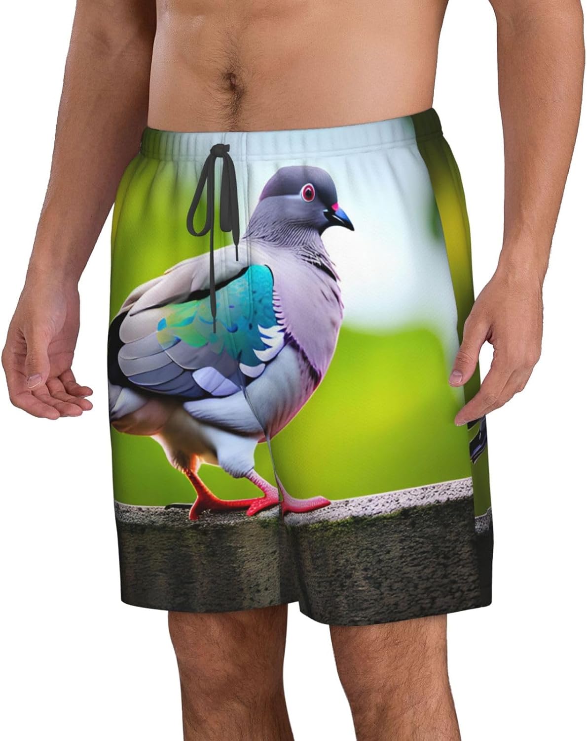Cartoon Pigeon 3 Print Men's Quick-Drying Shorts Casual Beach Pants Stretch Waist Shorts and Pockets