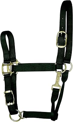 Hamilton 1-Inch Nylon Adjustable Quality Halter with Chin Snap for 800 to 1100-Pound Horse, Average, Black