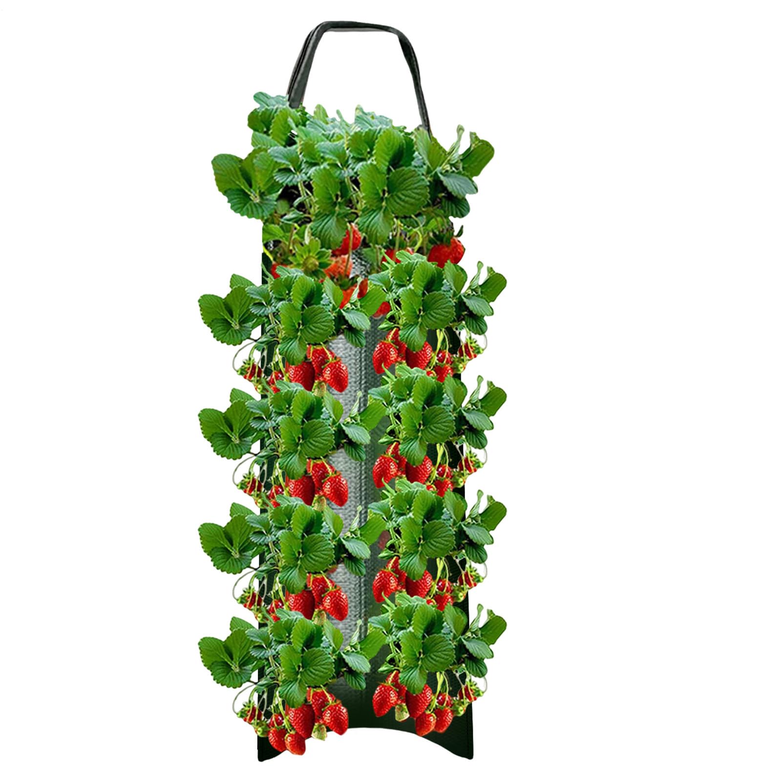Hanging Strawberry Planter - 4/6/8/10 Holes Strawberry Grow Bags | Strawberrys Planter For Garden | Potato Grow Bags | Grows Hanger Bag For Tomato Chili Strawberrys Fruit