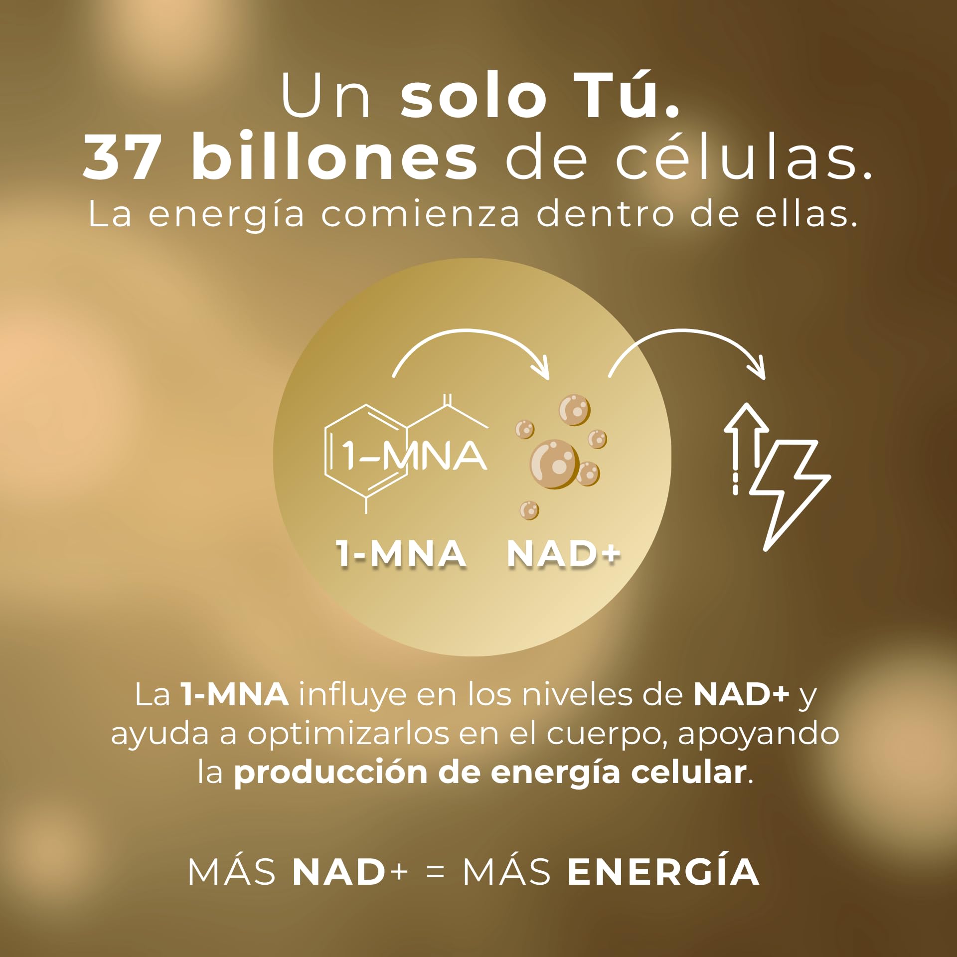 1-MNA PRO, Suplemento Antiedad, Optimiza NAD+, Doble Dosis para Efectos Más Rápidos, Biohacking, Salud Celular, Científicamente Formulado, Alta Biodisponibilidad, 30 Cápsulas