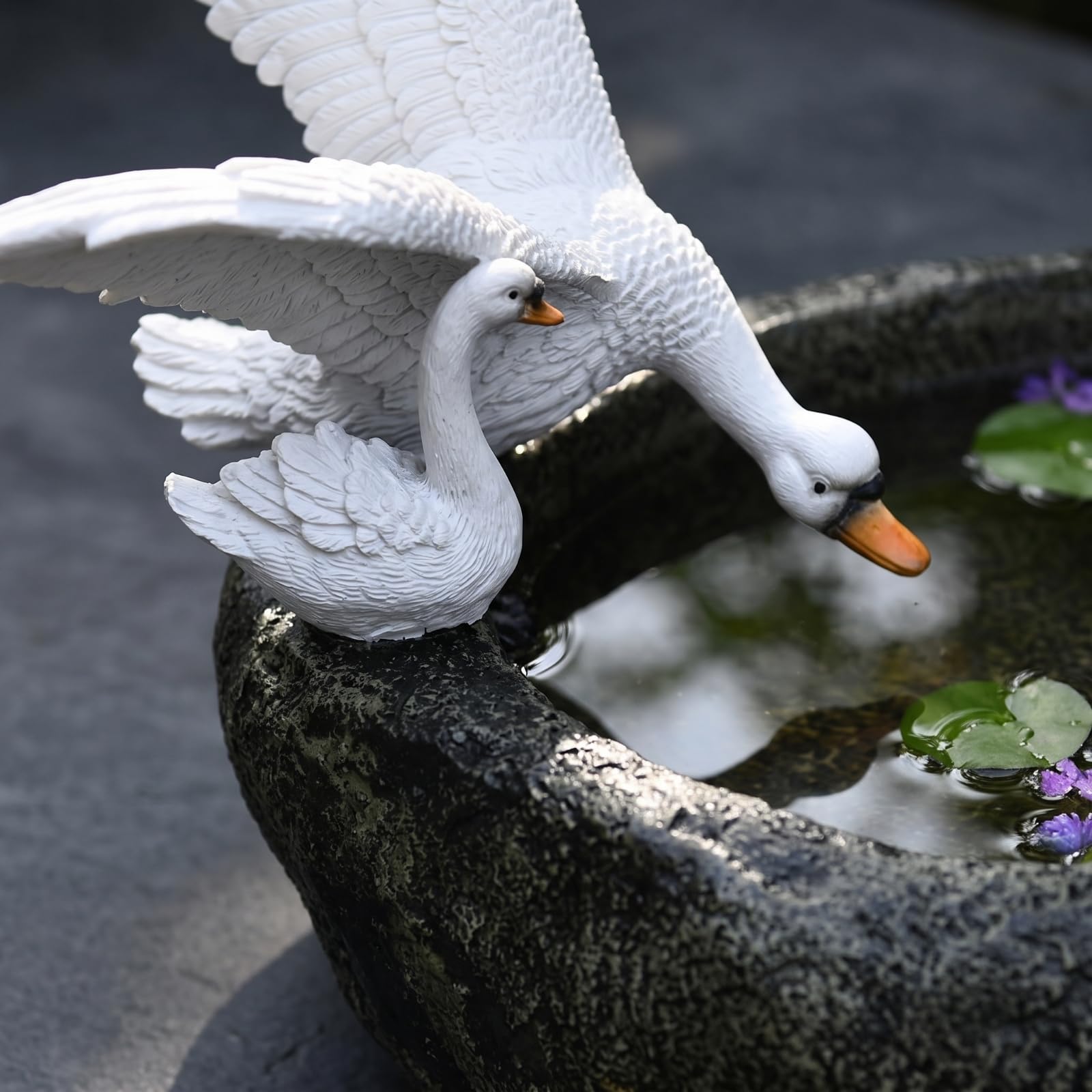 predolo Maceta para Plantas Acuáticas Elegan, Jardinera con Cisnes, bajo, Macero Agua, para Patio, Balcón
