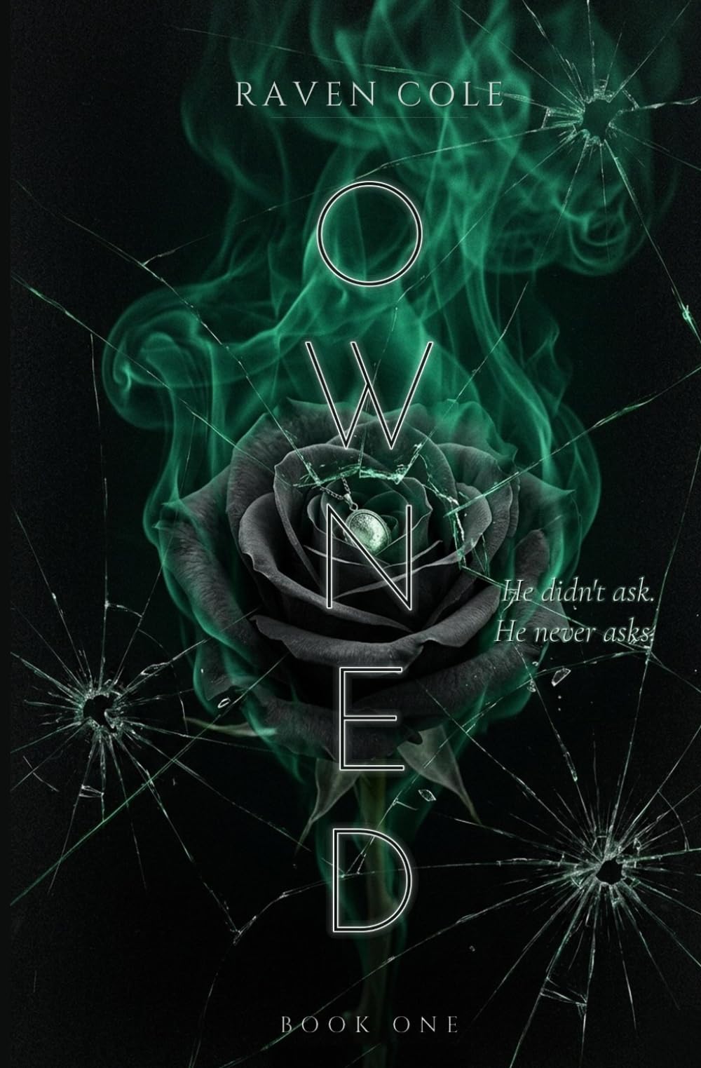 OWNED: What He Took — A Dark Mafia Romance (The OWNED Series Book 1)