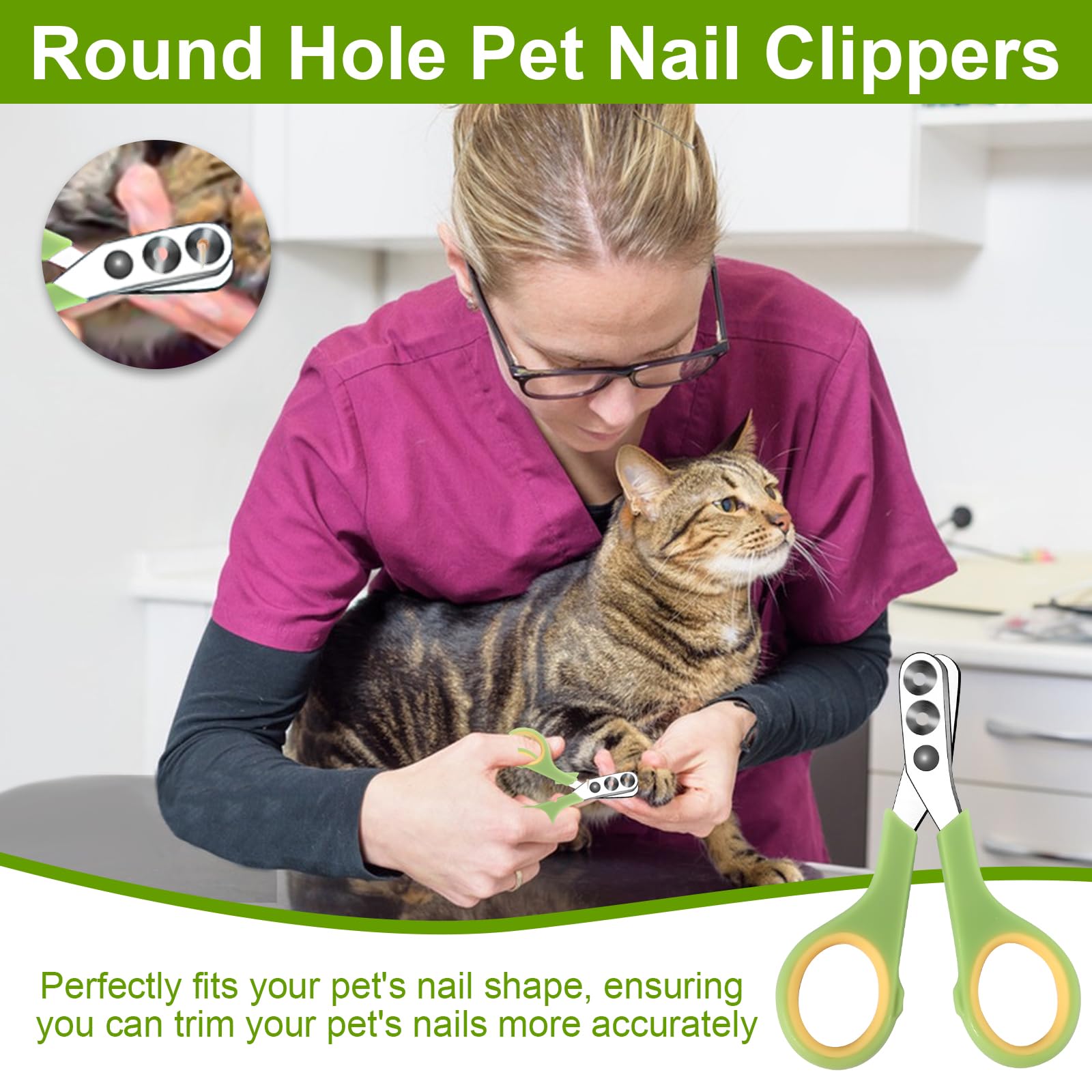 Germany Premium Krallenschere Für Hunde & Katzen – Edelstahl, 6 Zoll, Mit Sicherheitsstopp & Nagelfeile