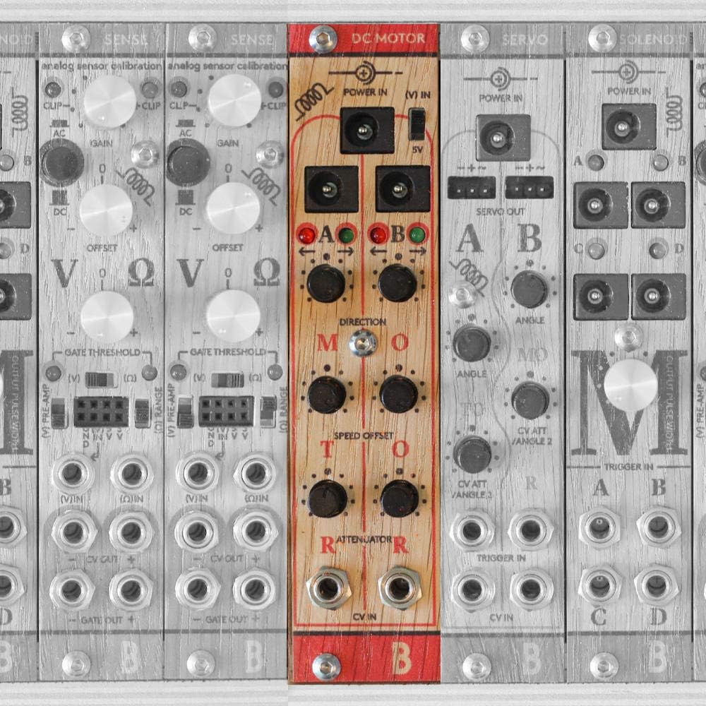 アントニオ サウラ、【ドラ・マールの肖像】、新品高級額 額装付、年代