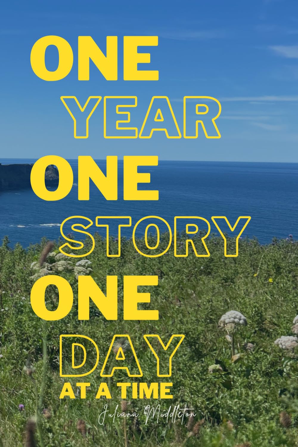One Year, One Story, One Day at a Time: 365 Day Chronological Devotional