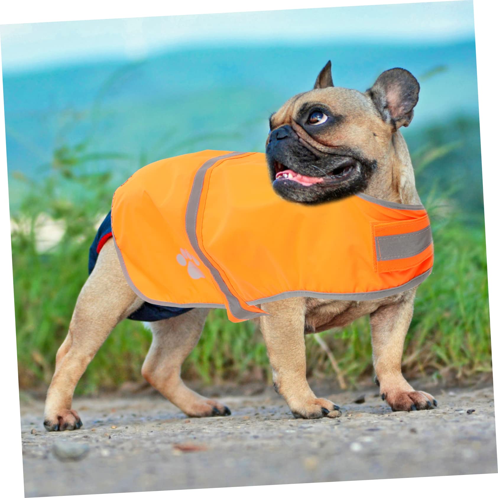 Kisangel 4 Stücke Einstellbare Reflektierende Hund Weste Für Outdoor Walking Wandern Fluoreszierende Haustier Weste