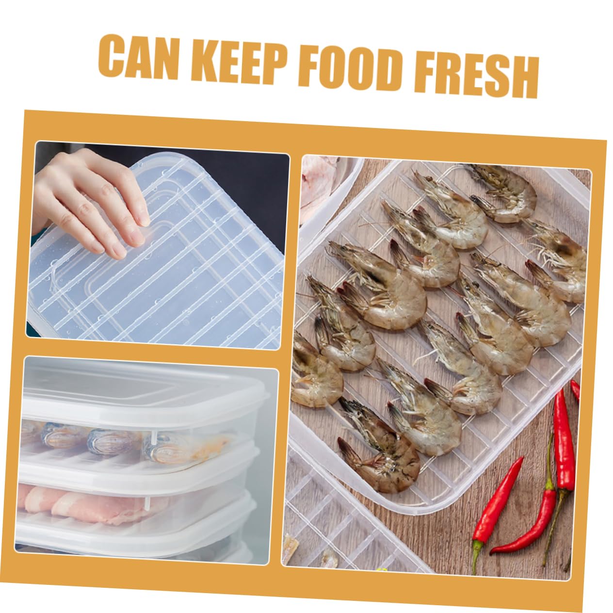 4pezzi Contenitore Per Bacon e Altri Alimenti Freschi Da Scatole Di Conservazione Per Frigorifero Per Pesce e Di Mare Leggero e Riutilizzabile Organizzatore Per Cucina