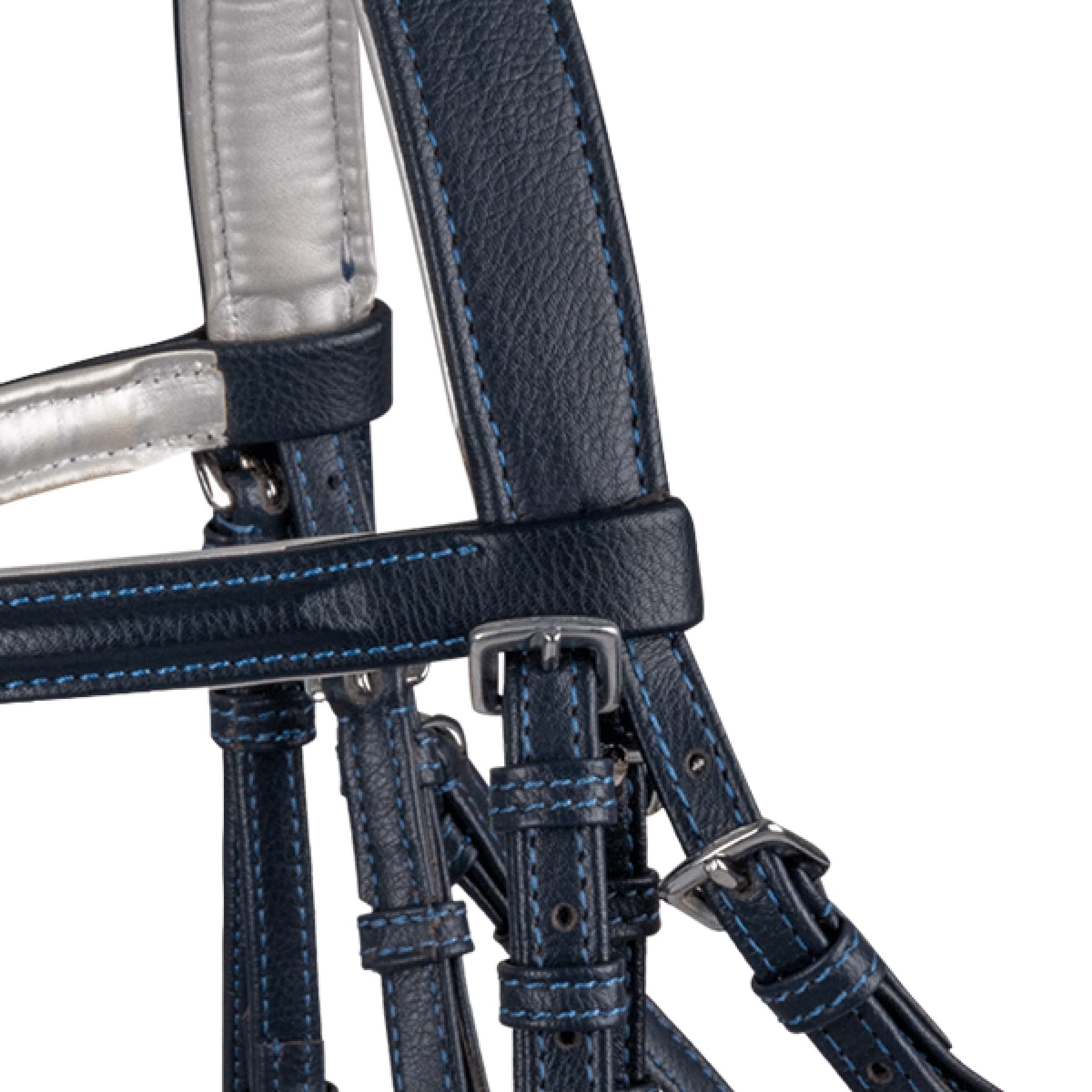 WALDHAUSEN Briglia Lucky Heart, MSH, blu