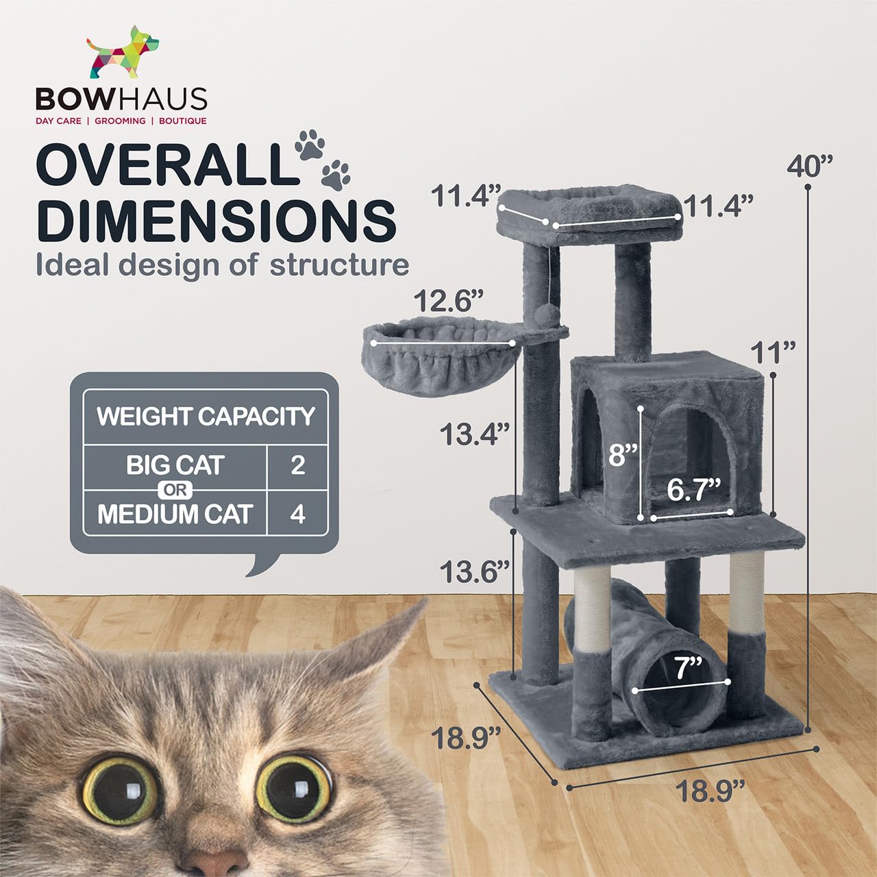 BOWHAUS Tall Cat Tree for Indoor Large Cats or Kittens, Multi-Level Cat Activity Tree with Scratching Posts, Hammock, Cat Cave Condo, Modern Cute Small Cat Climbing Tower with Widened Perch