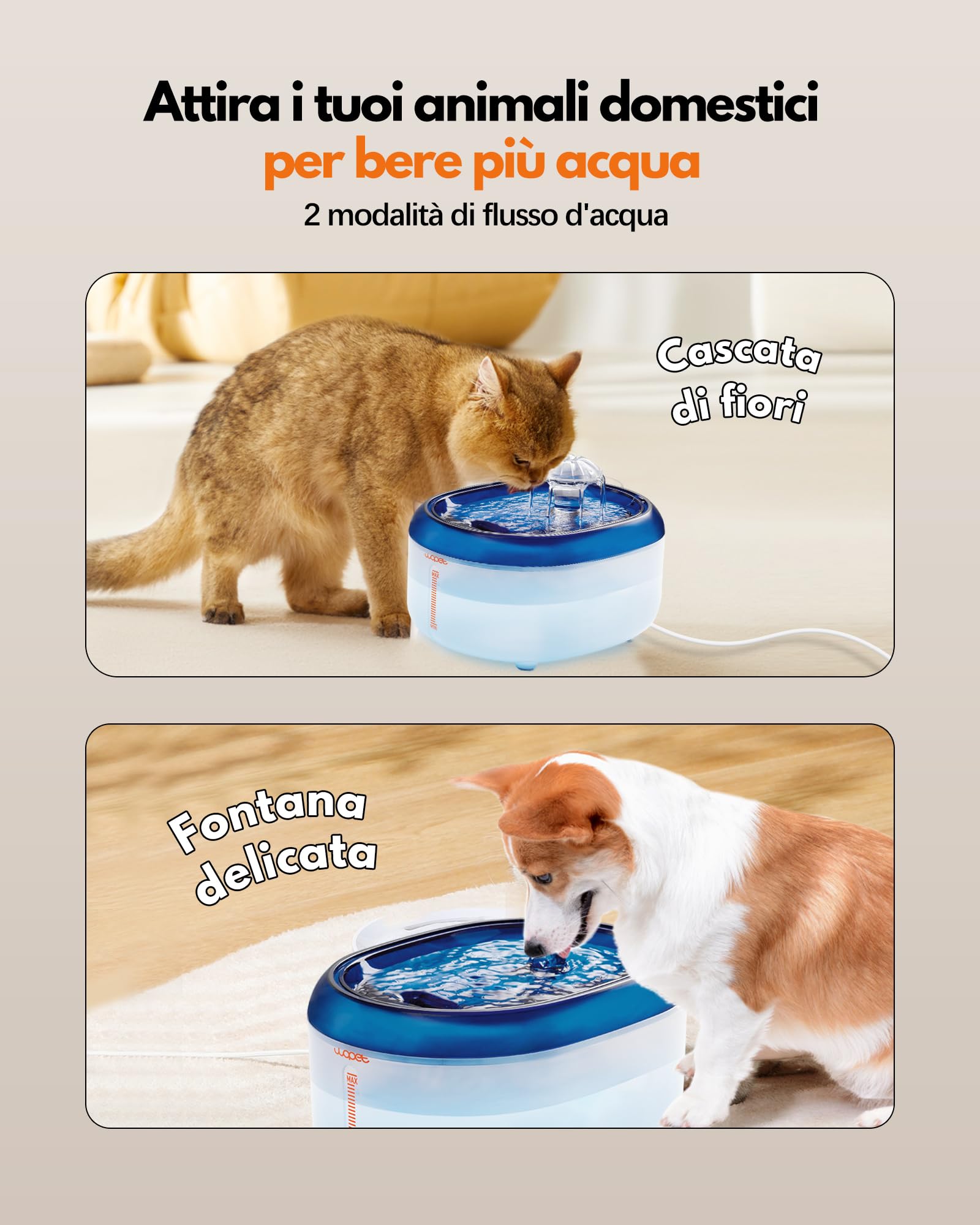WOPET Fontanella per Gatti, Fontana per Gatti e Cani, Fontanella per Gatti Ultra Silenziosa con 2 Modalità di Erogazione, 1 Filtro al Carbone Attivo, 1 Pompa USB Regolabile (2L, Bianco e blu)