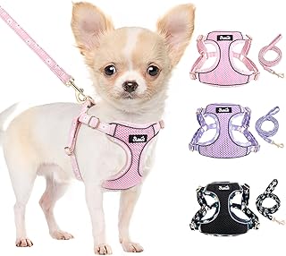 Eyein Hundegeschirr Kleine Hunde mit Leine, Atmungsaktiv Air Mesh Brustgeschirrmit reflektierenden Streifen, Verstellbarer Step-in Geschirr für extra kleine/kleine mittelgroße Hunde, Rosa, XXS product image