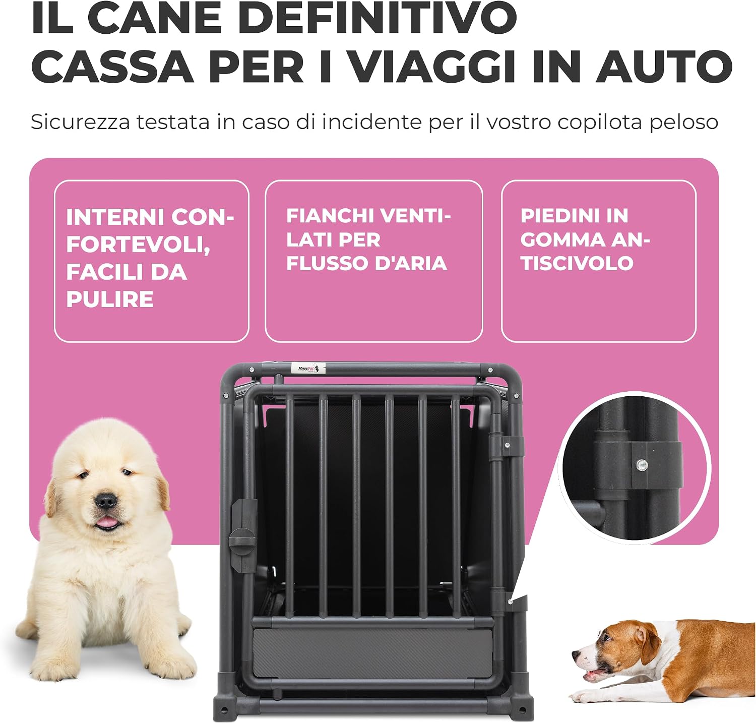 Close-up of MaxxPet dog carrier highlighting comfortable interior, ventilated sides, and anti-slip rubber feet.
