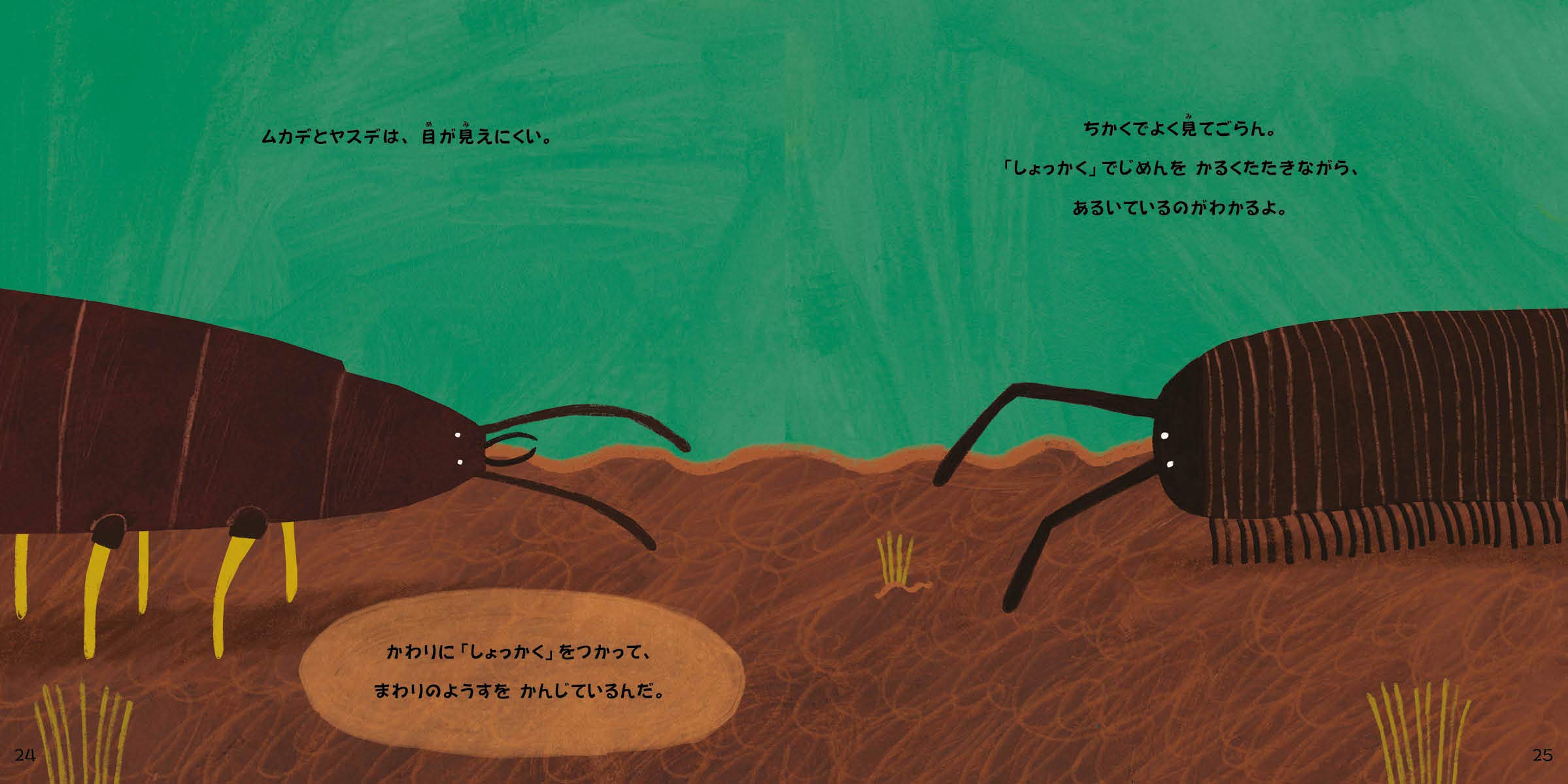 ちっちゃな生きものたち ムカデとヤスデ スージー ウィリアムズ ハンナ トルソン 渡邊 真里 本 通販 Amazon