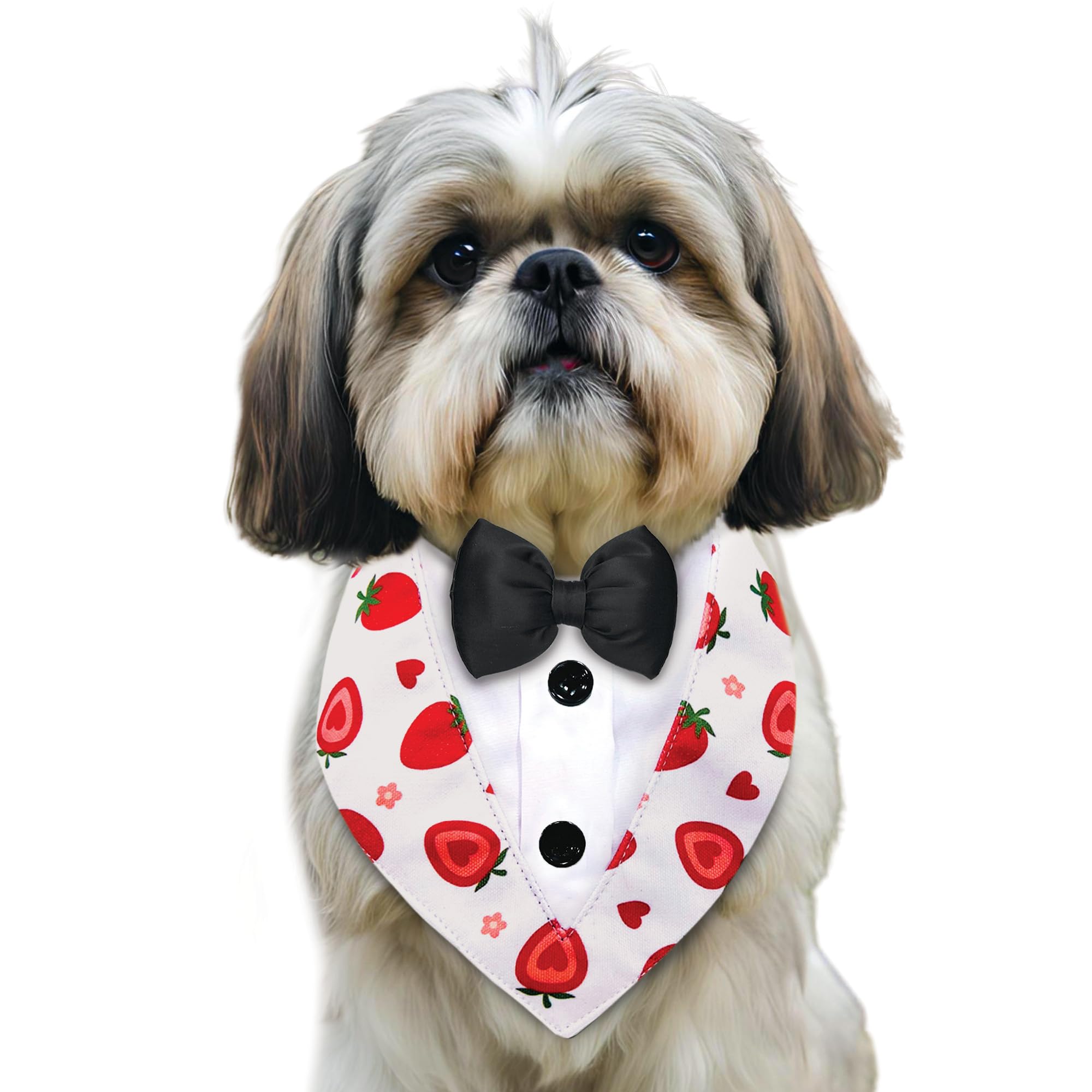 Pawsindia Fully Customizable Dog Tuxedo Bandana | Dog Bandana for Small Dogs | Tuxedo for Dogs | Choose from a Variety of Patterns & Bow Colors (Black Bow, Strawberry) (B0D2V1F9GP) Amazon Price History, Amazon Price Tracker
