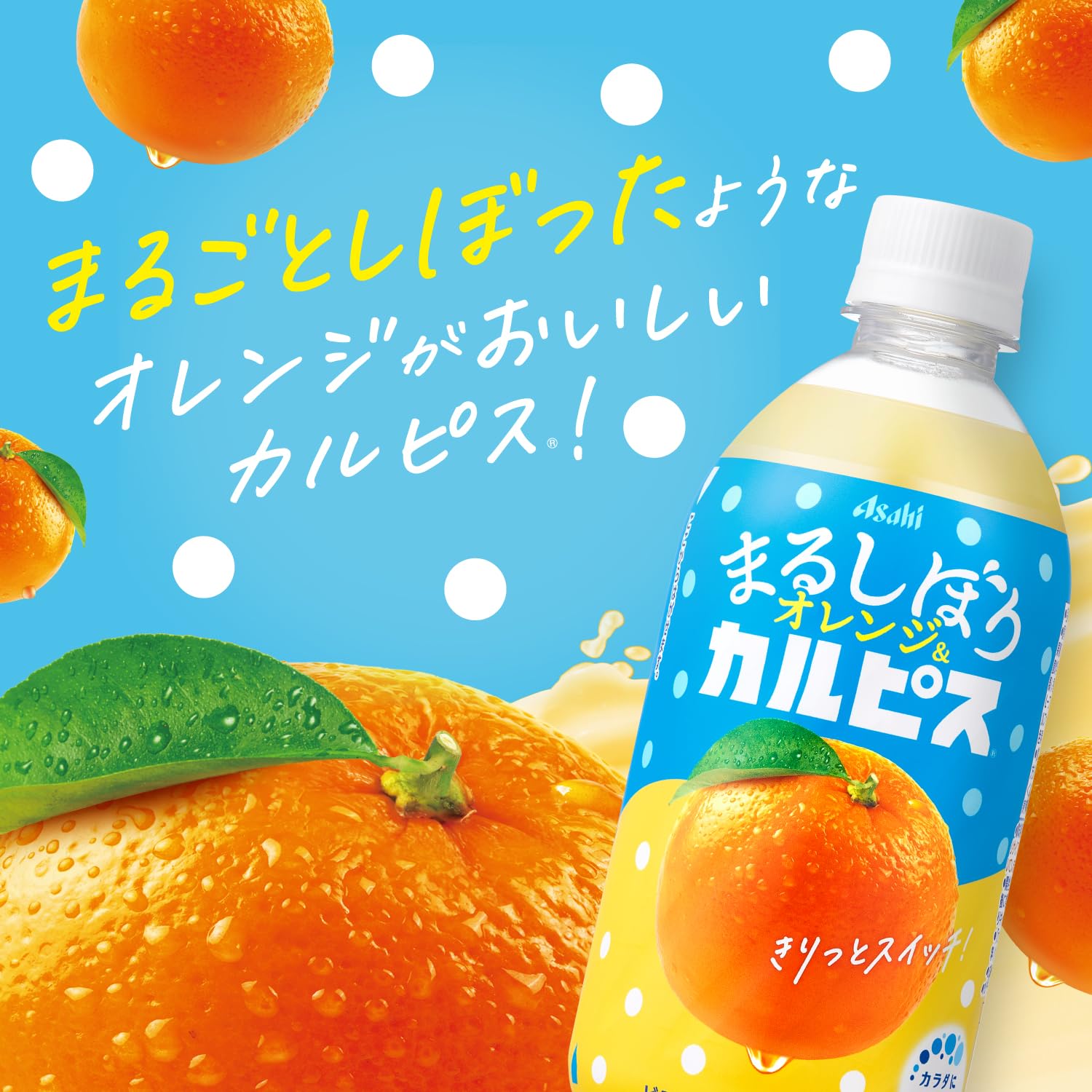 Amazon.co.jp: Calpis Maruchibori Orange & Calpis 16.2 fl oz (470