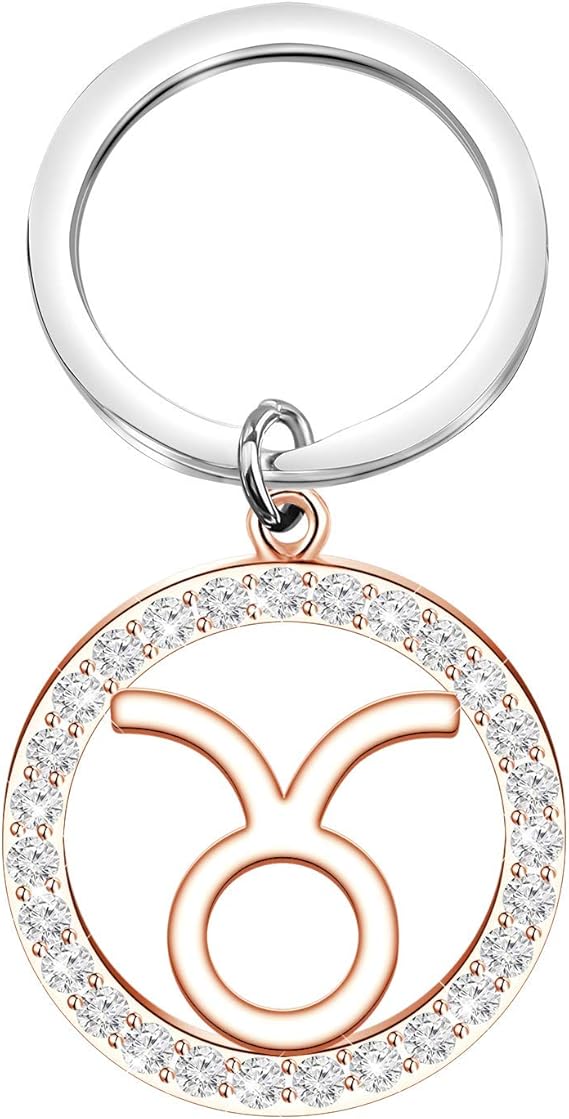 TGBJE Zodiac constellation Keychain Zodiac Sign Gift Zodiac Outline Gift Horoscope Constellation Celestial Zodiac Keychain