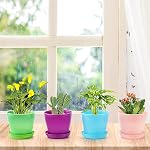 Tosnail 24 Pack 3.75" Small Plastic Plant Flower Pot with Saucers, Seedlings Nursery Pots Planter with Pallet Planting Gardening Containers - Assorted 8 Colors