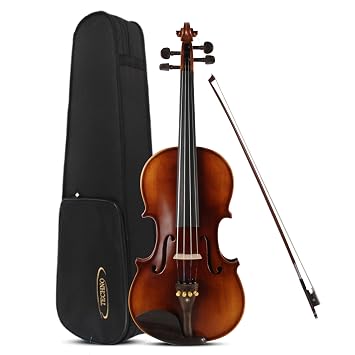 Techno V4/4 Violin with Spruce Top, Maple Body & Full Ebony Parts + Foam Case and Round Bow(NATURAL BROWN)