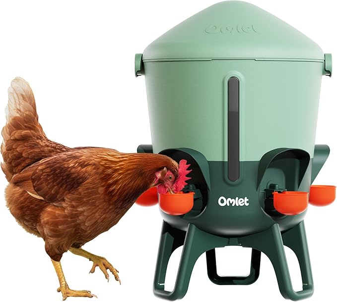 Omlet Insulated Chicken Waterer, 3 Gallon | Stay-Clean Automatic Water