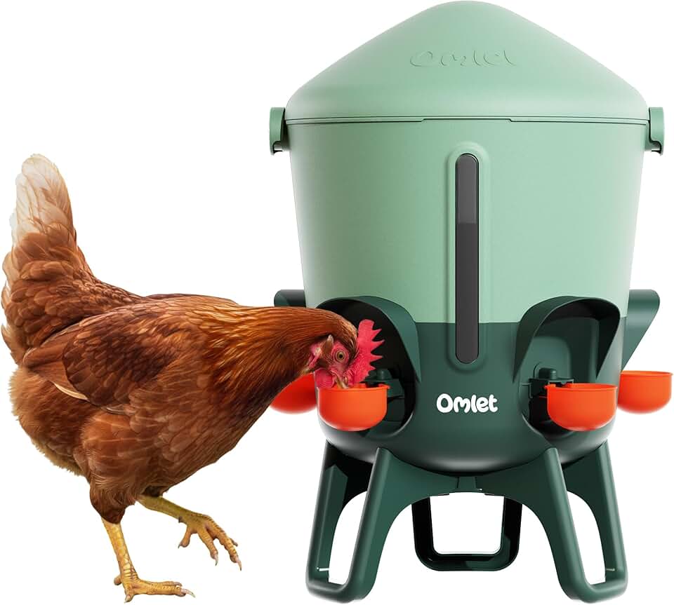 Omlet Insulated Chicken Waterer, 3 Gallon | Stay-Clean Automatic Water Dispenser for Chickens | BPA-Free | Anti-Roost Domed Lid | Includes 5 Cups &amp; Nipples | Sage Green